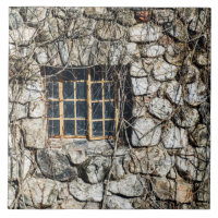 Window In A Wall Of Stone