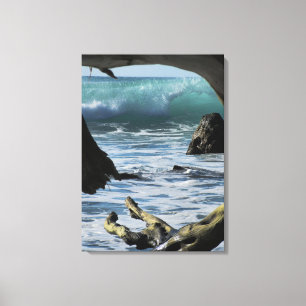 Window in Nature Canvas Print
