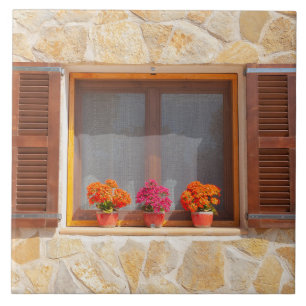 Window of a spanish Finca Tile