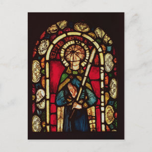 Window of St. Timothy Postcard