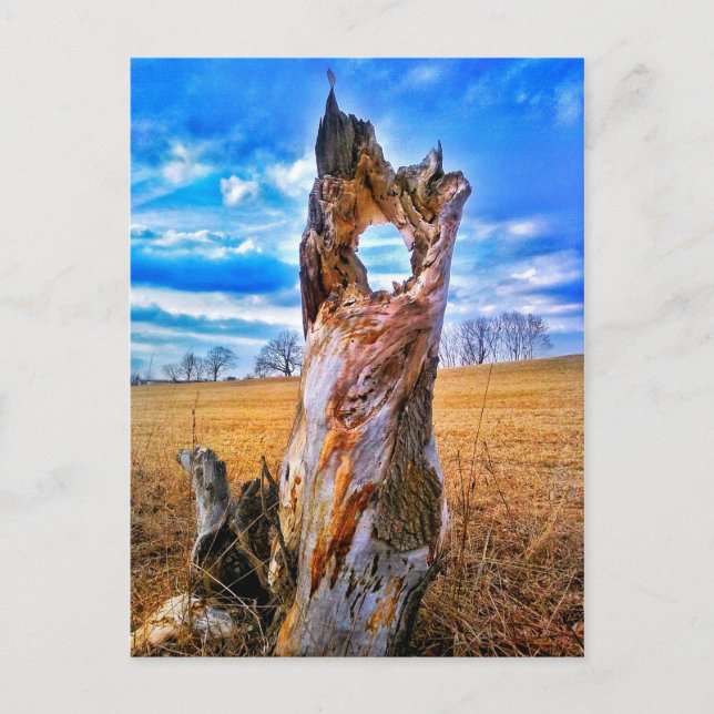 Window of Time Postcard (Front)