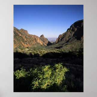 Window on the Desert Poster