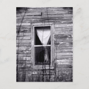 Window Postcard