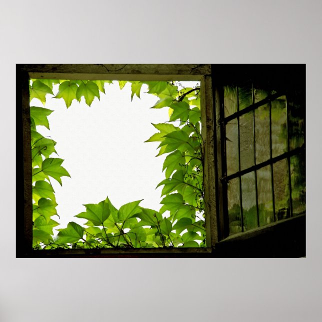 Window Poster (Front)
