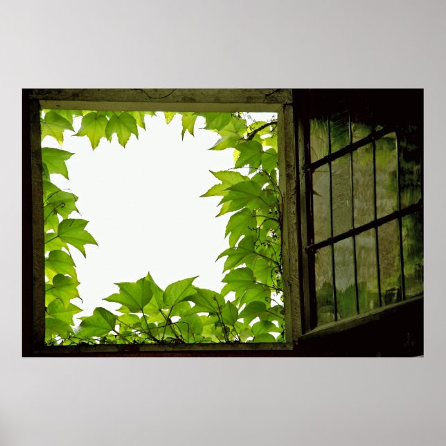 Window Print (Front)