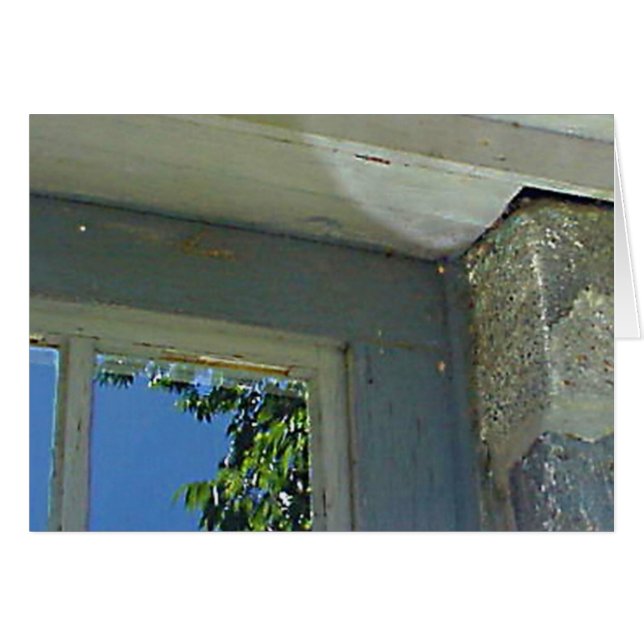 Window reflection (Front Horizontal)