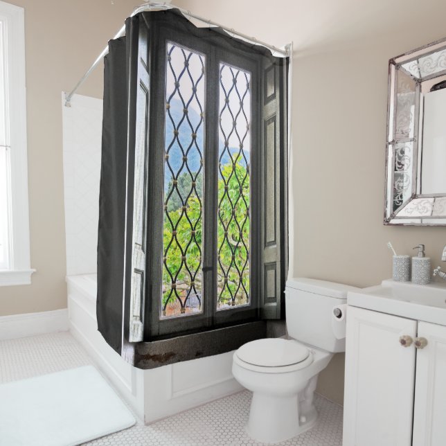 "WINDOW" SHOWER CURTAIN (In Situ)