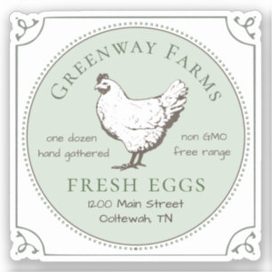 Window Sticker FRESH EGGS vintage HEN and Border