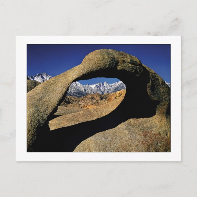 "Window To Whitney" Postcard (Front)