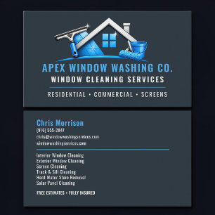 Window Washing Professional Services Business Card