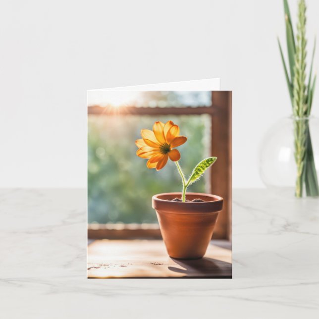 Window With Orange Daisy Note Card (Front)