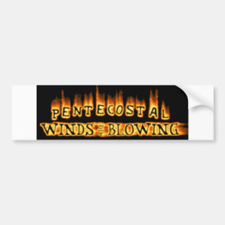 winds_are_blowing bumper sticker