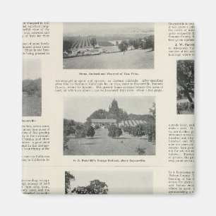 Windsor, California Magnet