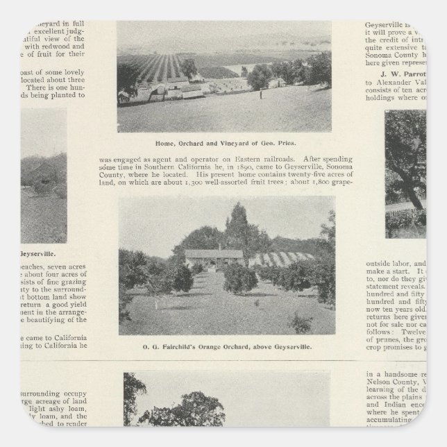 Windsor, California Square Sticker (Front)