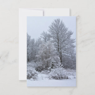Windsor Winter White Christmas Invitation