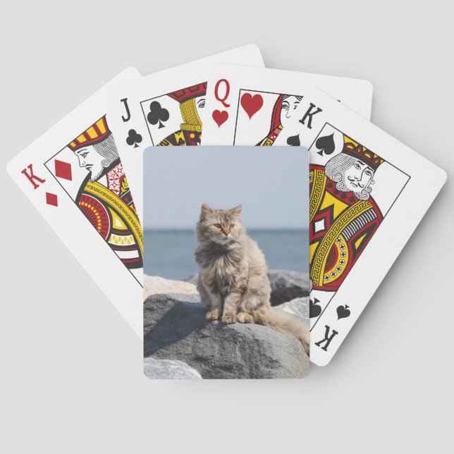 Windswept Cat by Sea Playing Cards (Back)