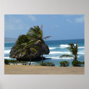 Windswept Poster