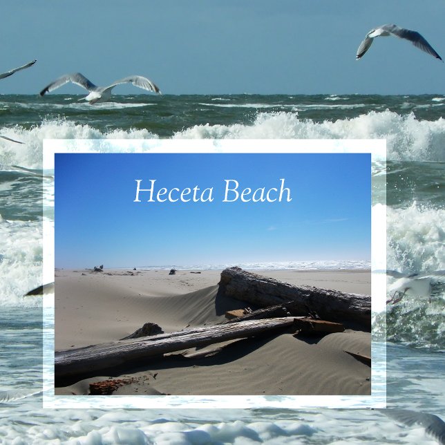 Windswept Sand, Driftwood, Heceta Beach, OR Postcard (Creator Uploaded)