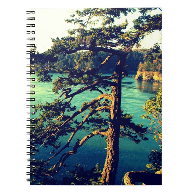 Windswept Seaside Trees Notebook ~ Deception Pass (Front)