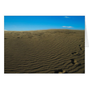 Windy dune