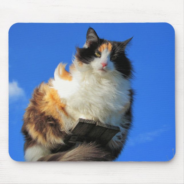 Windy up here mouse pad (Front)