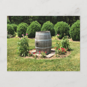 Wine Barrel Garden Decor, Chateau Morrisette, VA Postcard