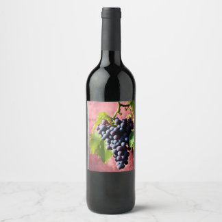 wine bottle label