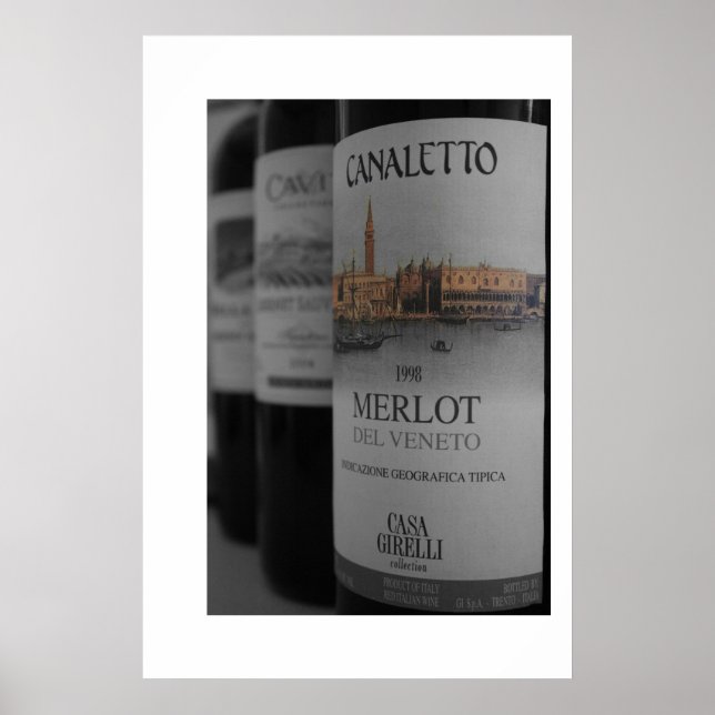 Wine Bottles (canvas) Poster (Front)