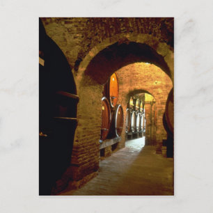Wine cellar in Montepulciano, Tuscany, Italy Postcard