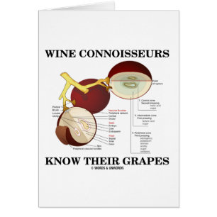 Wine Connoisseurs Know Their Grapes (Humour)