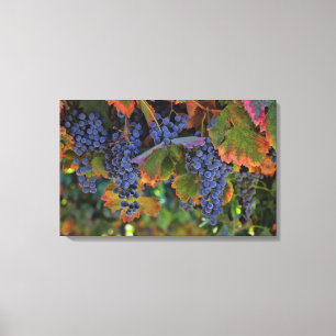 Wine Country Art Canvas Vineyard Print