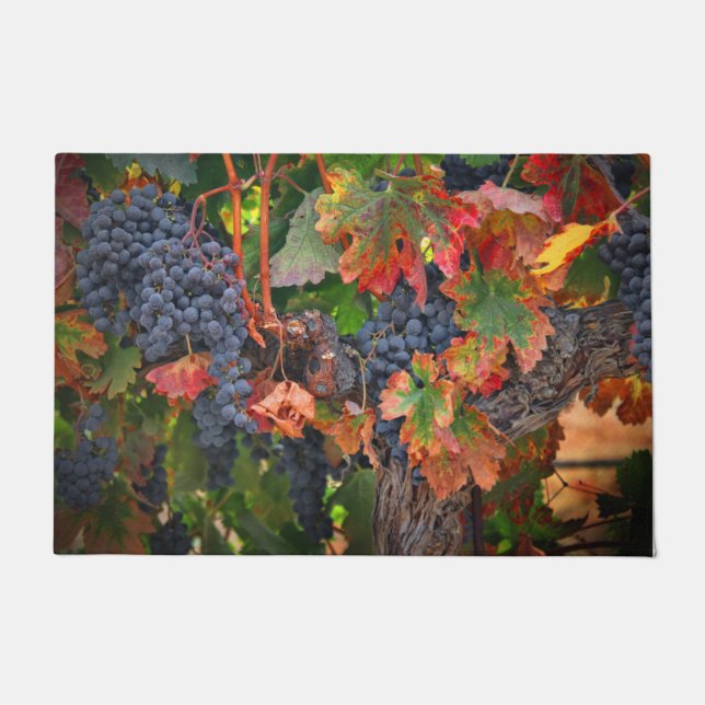 Wine Country Harvest Vineyard with Fall Colours Doormat (Front)