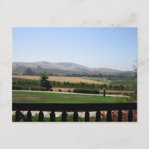 Wine Country Postcard