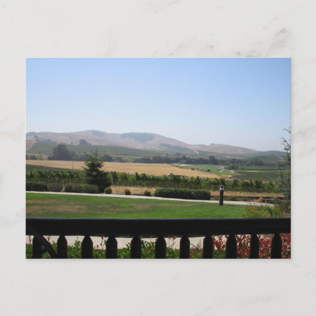 Wine Country Postcard (Front)