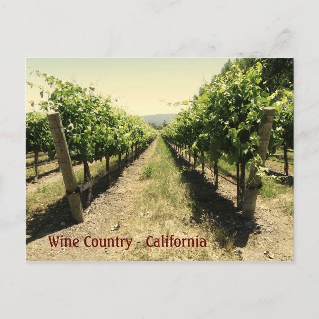 Wine Country Postcard! Postcard (Front)