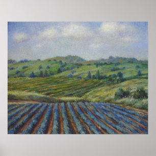 Wine Country Poster