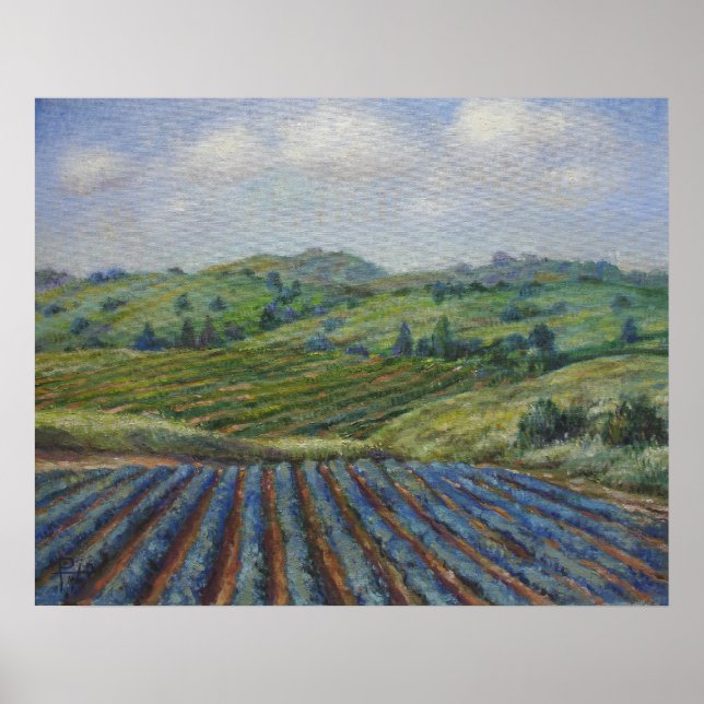 Wine Country Poster (Front)