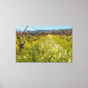 Wine Country Spring Canvas Print
