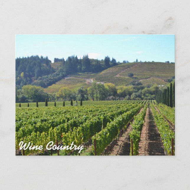 Wine Country Vintards Postcard (Front)