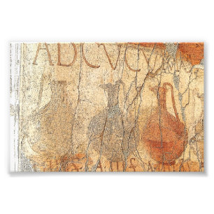 Wine For Sale - Herculaneum Fresco Photo Print