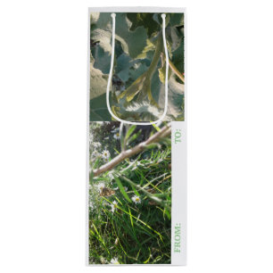 WINE Gift Bag CARD COMBO/ MMETROPOLIM DESIGN