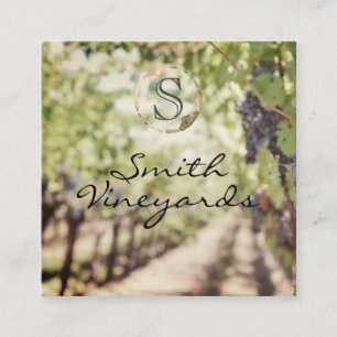 Wine Glass   Vineyard   Grapes Square Business Card
