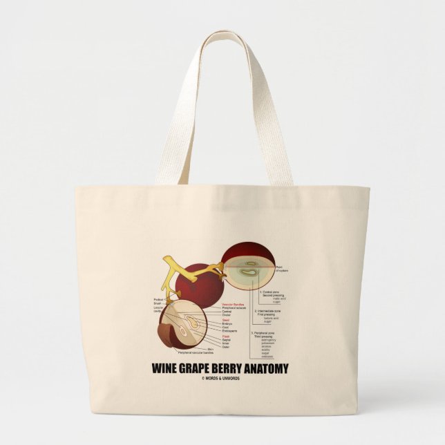 Wine Grape Berry Anatomy (Scientific Diagram) Large Tote Bag (Front)