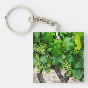 Wine Grapes Growing, France Key Ring