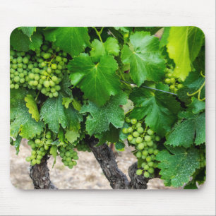 Wine Grapes Growing, France Mouse Pad