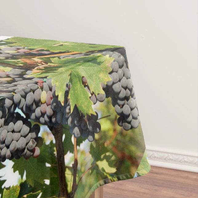 Wine Grapes On Vine Tablecloth (In Situ)