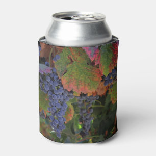 Wine Grapes Vineyard Can Cooler