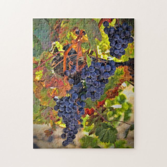 Wine Harvest Grape Fall  Colours Jigsaw Puzzle (Vertical)
