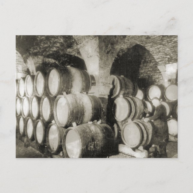 Wine making Wine barrels Postcard (Front)