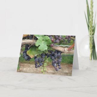 Wine on the Vine Card